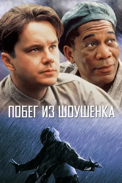 Дэна Снайдер